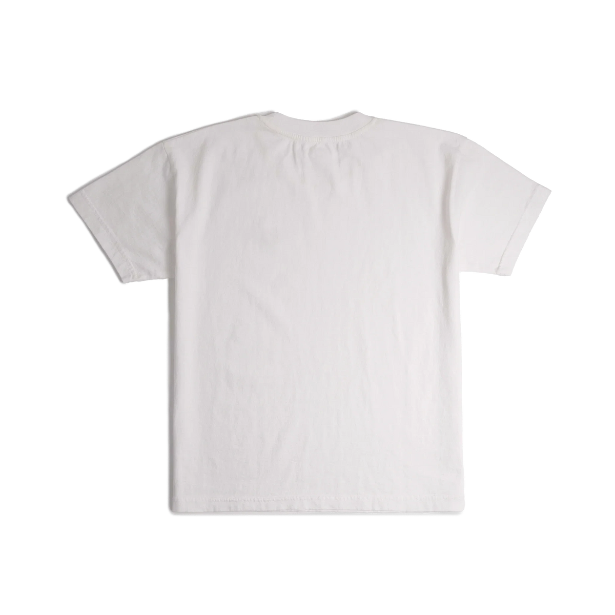 Back image of Topo Designs x Soft Goods Label Tee in "White"